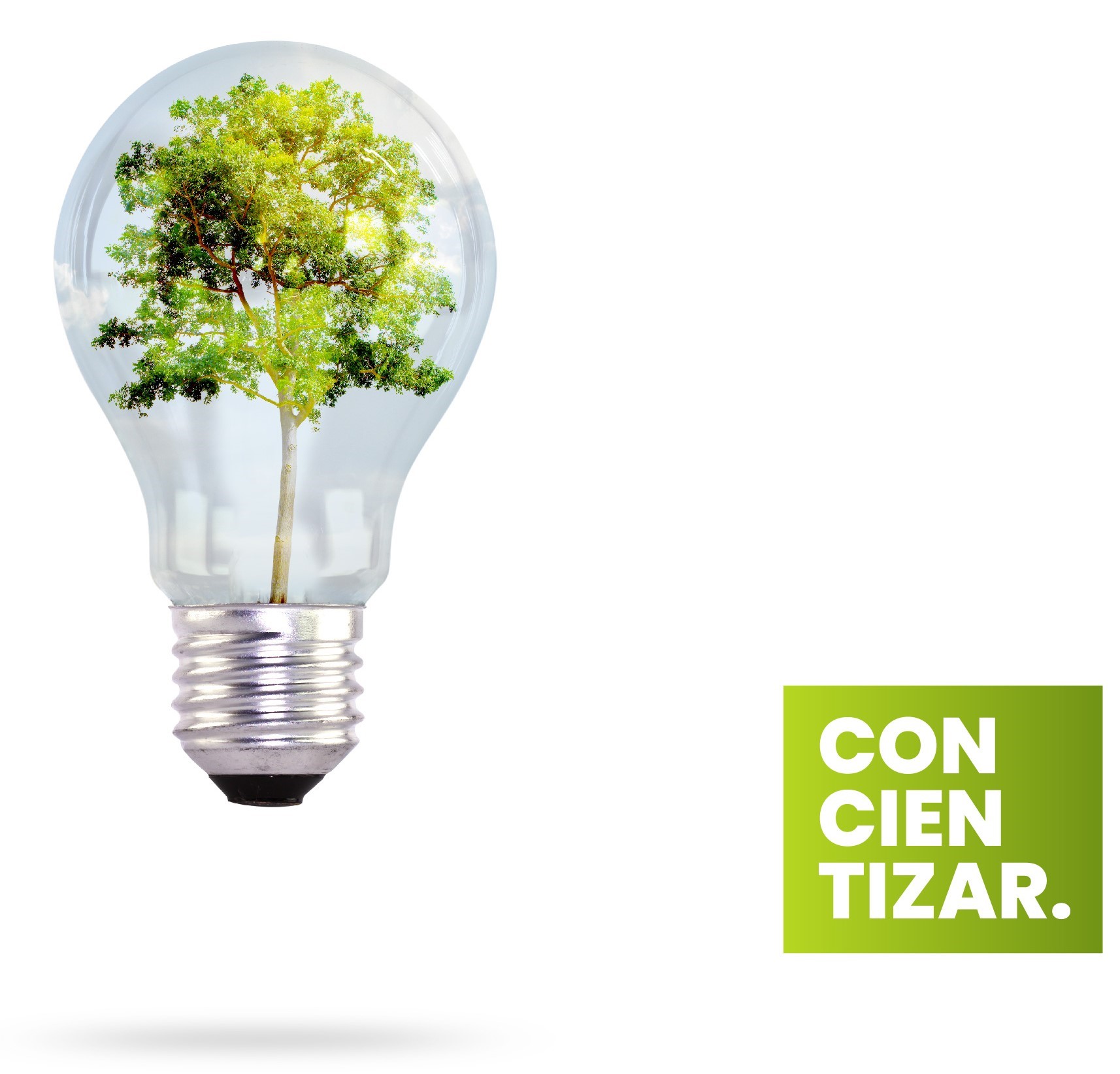 Fundacion ECO